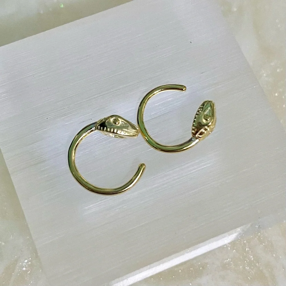 Gold Snake Hoop Earrings